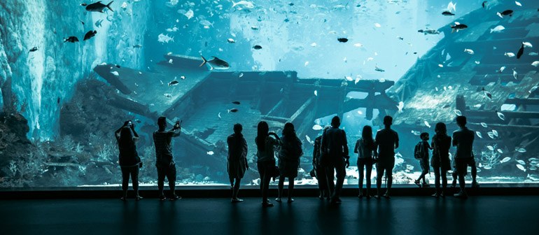 Underwater World Singapore