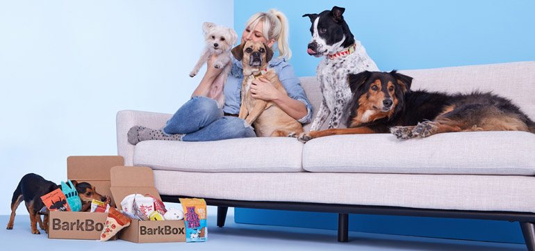 BarkBox