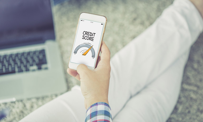 CREDIT SCORE CONCEPT