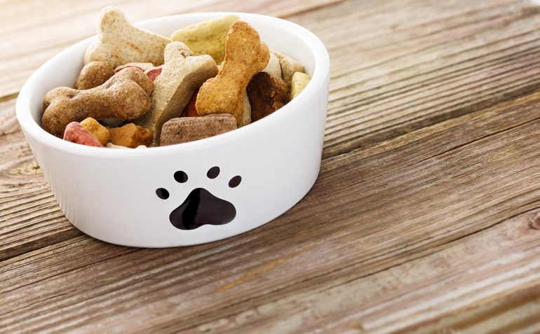 Dog food in bowl