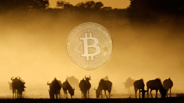 Africa cryptocurrency