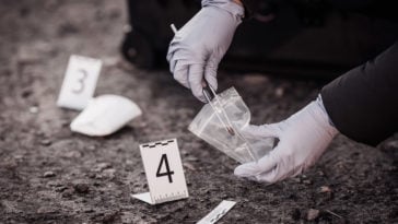 crime scene investigation